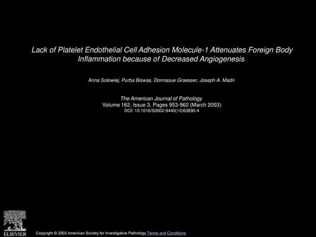 Lack of Platelet Endothelial Cell Adhesion Molecule-1 Attenuates Foreign Body Inflammation because of Decreased Angiogenesis  Anna Solowiej, Purba Biswas,