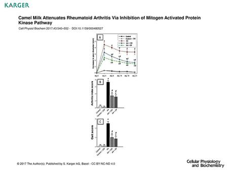 Camel Milk Attenuates Rheumatoid Arthritis Via Inhibition of Mitogen Activated Protein Kinase Pathway Cell Physiol Biochem 2017;43:540–552 - DOI:10.1159/000480527.