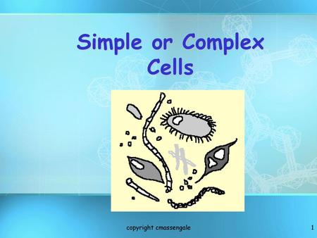 Simple or Complex Cells