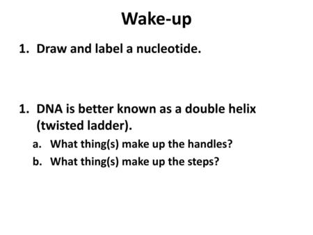 Wake-up Draw and label a nucleotide.