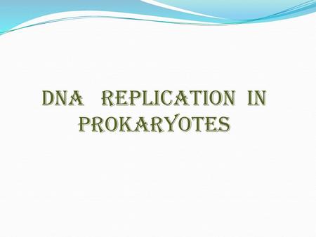 DNA REPLICATION IN PROKARYOTES
