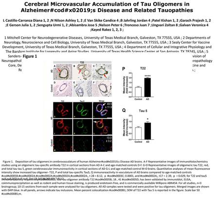 Cerebral Microvascular Accumulation of Tau Oligomers in Alzheimer#cod#x02019;s Disease and Related Tauopathies L Castillo-Carranza Diana 1, 2 ;N Nilson.