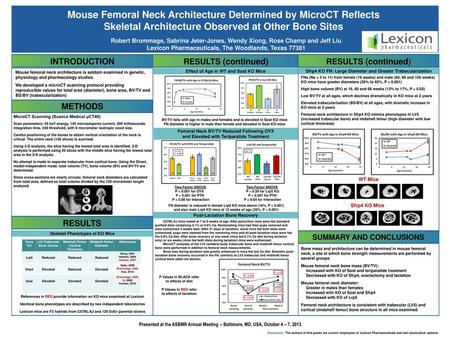 Mouse Femoral Neck Architecture Determined by MicroCT Reflects