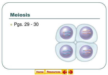 Meiosis Pgs. 29 - 30 Modified by Liz LaRosa 2011.