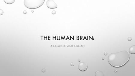 THE HUMAN BRAIN: A complex vital organ.