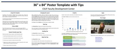 36” x 84” Poster Template with Tips Reader-Friendly Layout Tips
