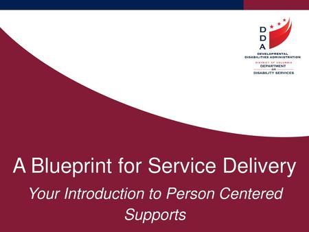 A Blueprint for Service Delivery