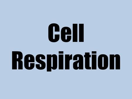 Cell Respiration.