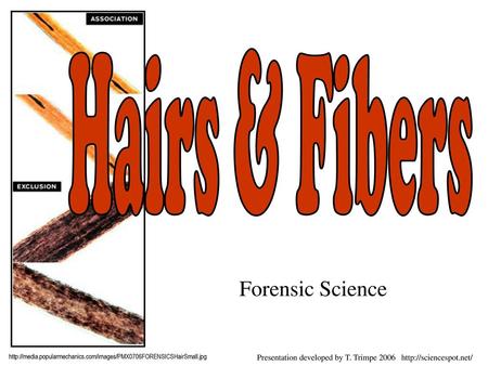 Hairs & Fibers Forensic Science
