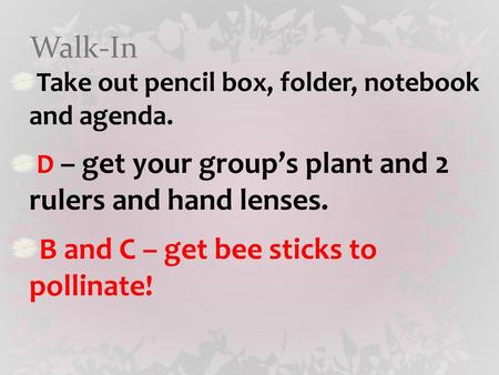 B and C – get bee sticks to pollinate!
