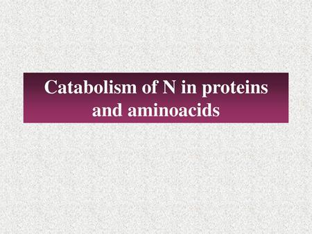Catabolism of N in proteins and aminoacids