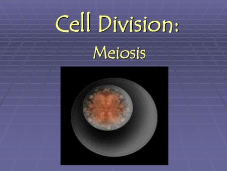 Cell Division: Meiosis.