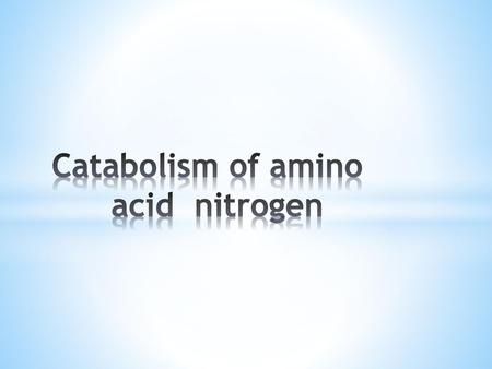 Catabolism of amino acid nitrogen