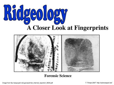 A Closer Look at Fingerprints