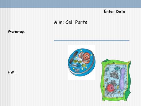 Aim: Cell Parts Enter Date Warm-up: HW:.