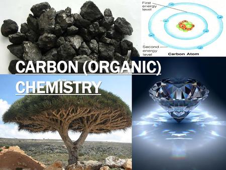 Carbon (Organic) Chemistry