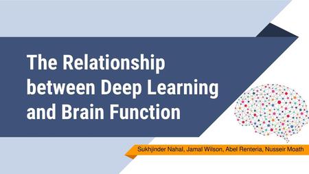 The Relationship between Deep Learning and Brain Function