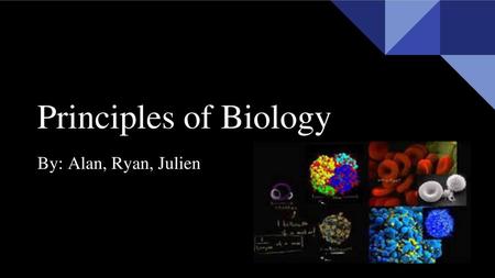 Principles of Biology By: Alan, Ryan, Julien.