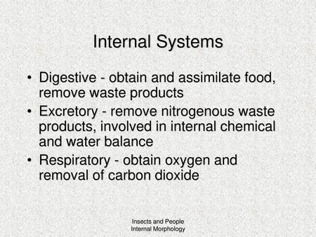 Internal Systems Digestive - obtain and assimilate food, remove waste products Excretory - remove nitrogenous waste products, involved in internal chemical.