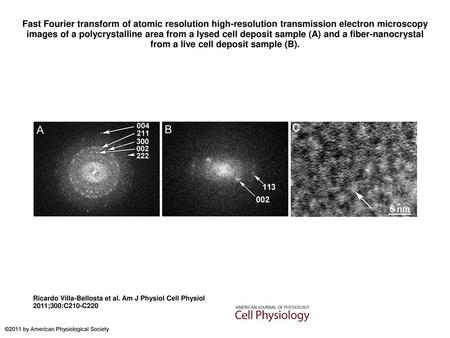 Fast Fourier transform of atomic resolution high-resolution transmission electron microscopy images of a polycrystalline area from a lysed cell deposit.