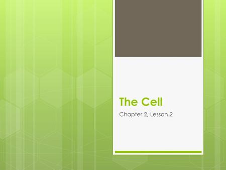 The Cell Chapter 2, Lesson 2.