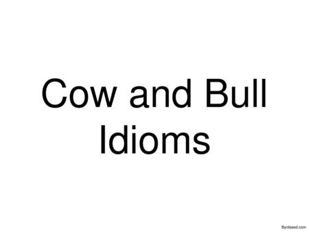 Cow and Bull Idioms Byrdseed.com.