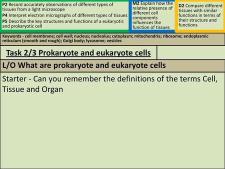 Task 2/3 Prokaryote and eukaryote cells