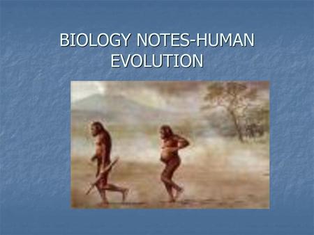 BIOLOGY NOTES-HUMAN EVOLUTION