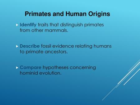 Primates and Human Origins