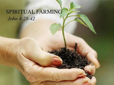 SPIRITUAL FARMING John 4:28-42.