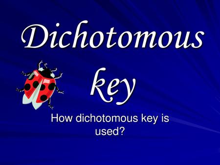 How dichotomous key is used?