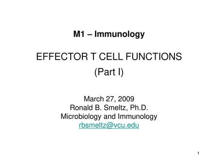 M1 – Immunology EFFECTOR T CELL FUNCTIONS (Part I) March 27, 2009 Ronald B. Smeltz, Ph.D. Microbiology and Immunology rbsmeltz@vcu.edu.