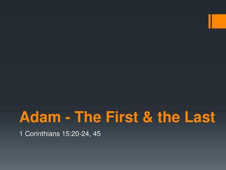 Adam - The First & the Last