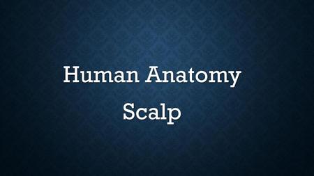 Human Anatomy Scalp.
