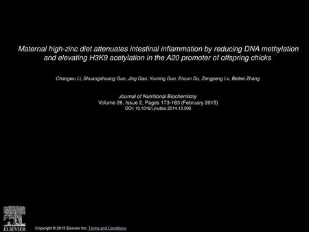 Maternal high-zinc diet attenuates intestinal inflammation by reducing DNA methylation and elevating H3K9 acetylation in the A20 promoter of offspring.