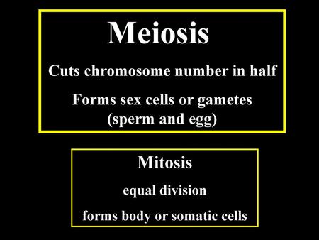 Meiosis Mitosis Cuts chromosome number in half