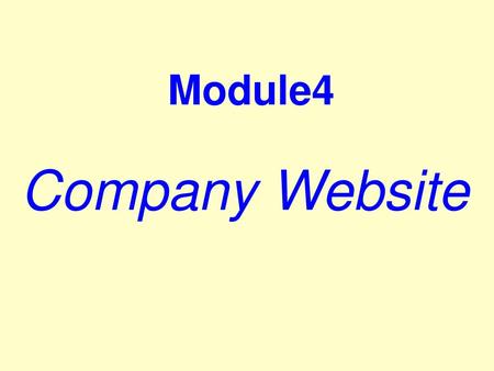 Module4 Company Website.