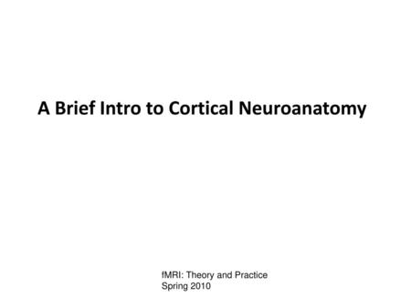 A Brief Intro to Cortical Neuroanatomy