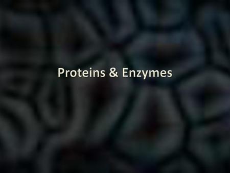 Proteins & Enzymes.
