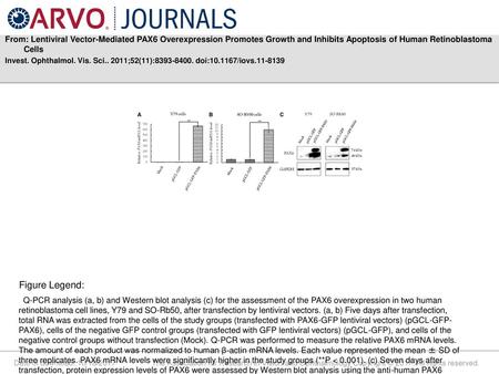 From: Lentiviral Vector-Mediated PAX6 Overexpression Promotes Growth and Inhibits Apoptosis of Human Retinoblastoma Cells Invest. Ophthalmol. Vis. Sci..