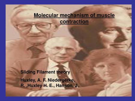 Molecular mechanism of muscle contraction
