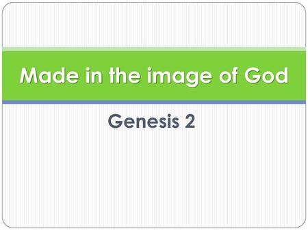 Made in the image of God Genesis 2.