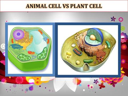 ANIMAL CELL VS PLANT CELL