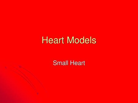 Heart Models Small Heart.