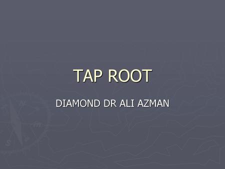 TAP ROOT DIAMOND DR ALI AZMAN.