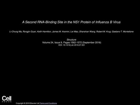 A Second RNA-Binding Site in the NS1 Protein of Influenza B Virus