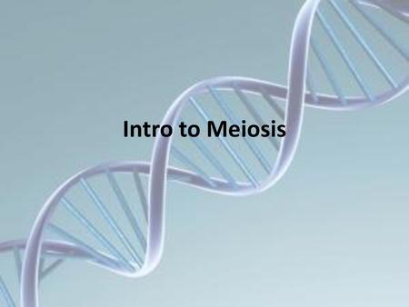 Intro to Meiosis.