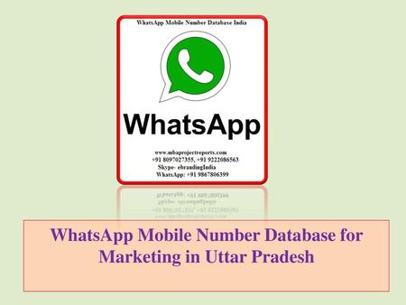 WhatsApp Mobile Number Database for Marketing in Uttar Pradesh