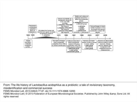 History of Lactobacillus acidophilus