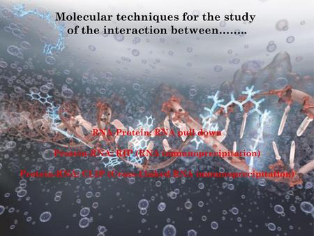 Molecular techniques for the study of the interaction between……..